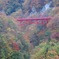 高山村紅葉