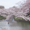 Spring has just come! (Daytime view)