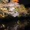 京都 鏡面