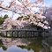 お堀の春
