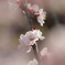 image:6948