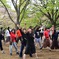 春の公園