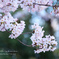 lovefavorite_506