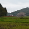 オレンジ鉄道とサクラ