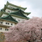 名古屋城