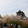 犬山城