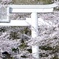 桜に囲まれた鳥居