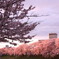 曇りから夕暮れ