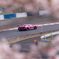 桜色