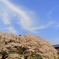 空と桜