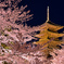 古都の春景～桜色に囲まれ～