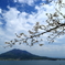 磯山に舞う