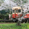 桜キハ200系⑦