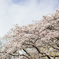 IMG_0149raw
