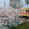 西鉄電車香椎花園前