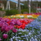 香椎花園