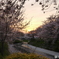 夕焼けと
