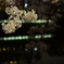 桜と神田川