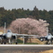百里基地