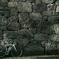 morning ride