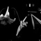DSC09795-2-25