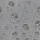 waterdrop＃2