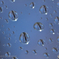 waterdrop＃6