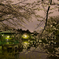 大宮公園
