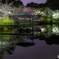 大宮公園