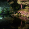 大宮公園