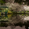 大宮公園