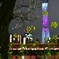 NIGHT  COLORS