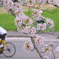 桜日和はサイクル日和