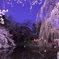 夜桜６