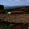 富良野２