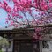 宝珠院-2