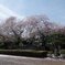 国分寺-2
