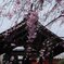 国分寺-4