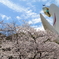 桜と太陽の塔