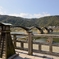 錦帯橋