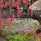 隼人堀川の春