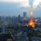 夕方の東京タワー