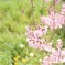 _20160407_041058