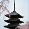 東寺