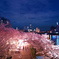 夜の天満橋