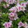 PICT0002