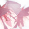 河津桜