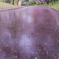 桜木花道