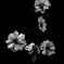 DSC06213-2 -25