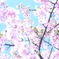 ぱちっ☆